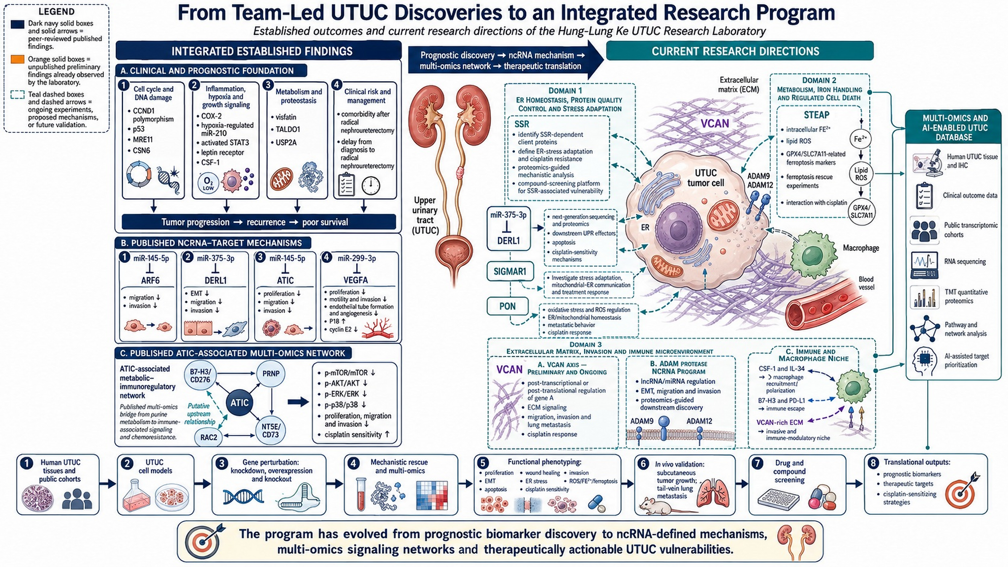 Overview of the laboratory’s established UTUC discoveries and current research directions, spanning ncRNA mechanisms, multi-omics networks and therapeutic translation.